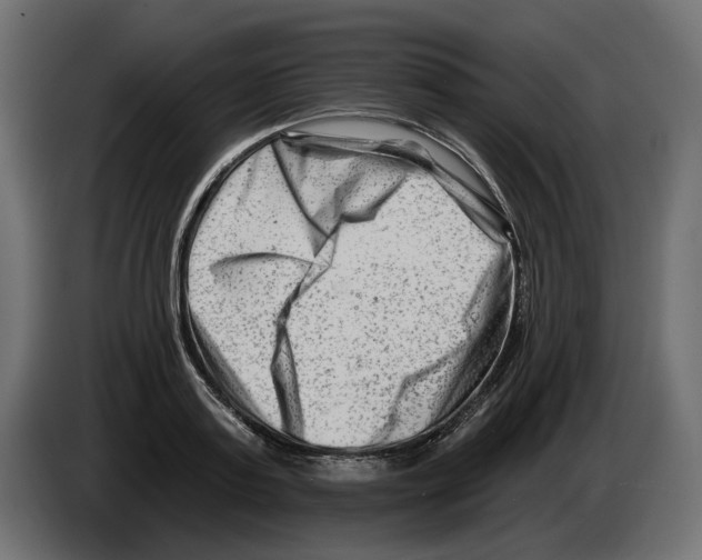 X0000082960795200703020211