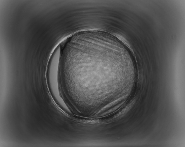 X0000082960797200703020211