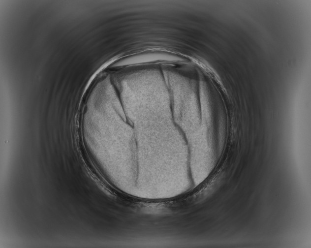 X0000082960798200703020211