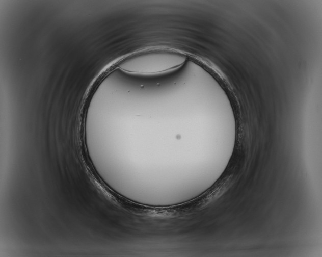 X0000082960799200703020211