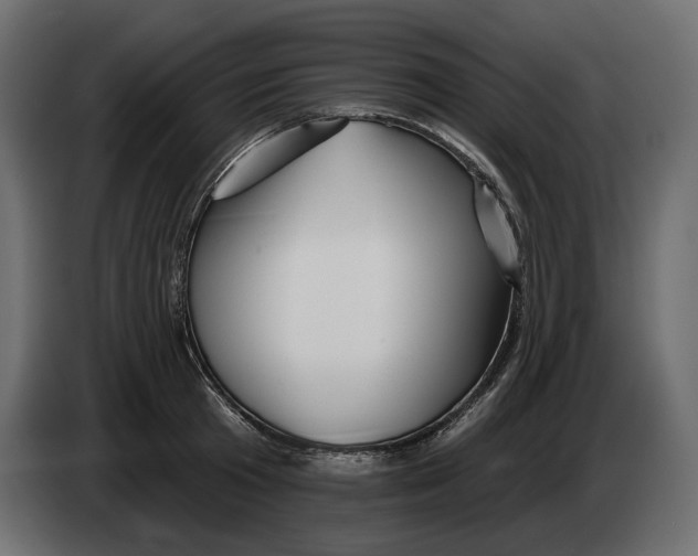 X0000082960801200703020211