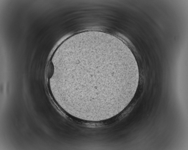 X0000082960804200703020211