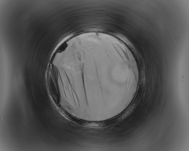 X0000082960806200703020211