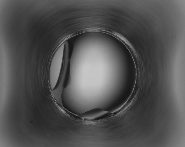 X0000082960809200703020211