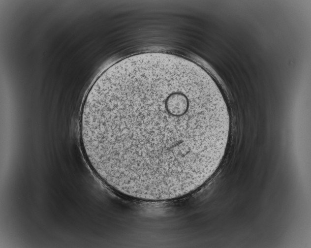 X0000082960810200703020211