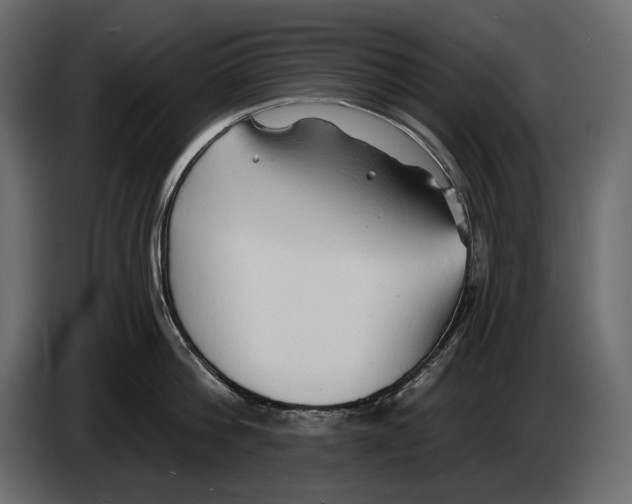 X0000082960812200703020211