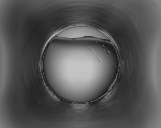 X0000082960813200703020211