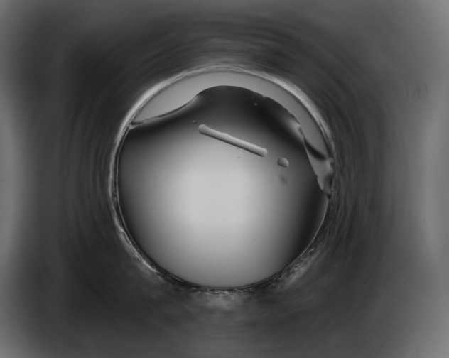 X0000082960815200703020211