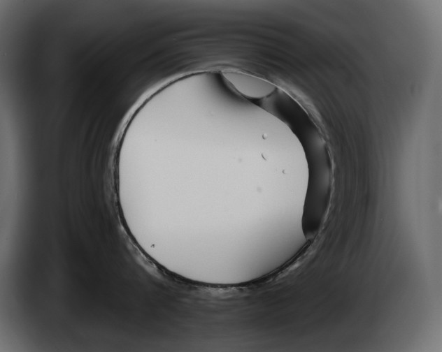 X0000082960816200703020211