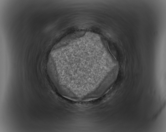 X0000082960817200703020210