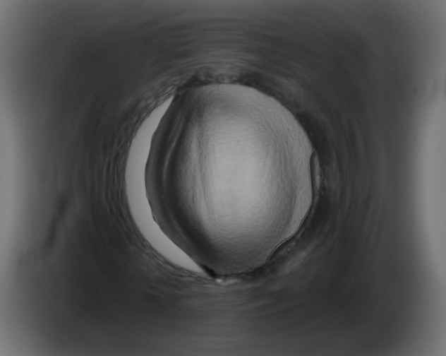 X0000082960818200703020210