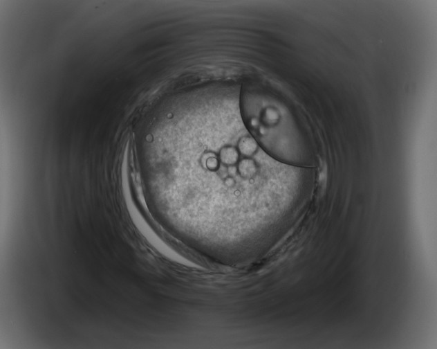 X0000082960819200703020210