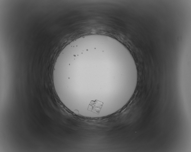 X0000082960820200703020210