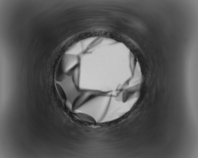 X0000082960821200703020210