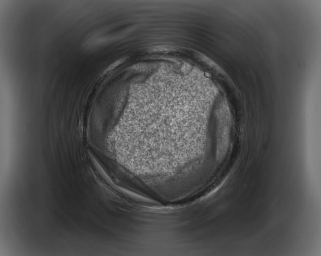 X0000082960825200703020210