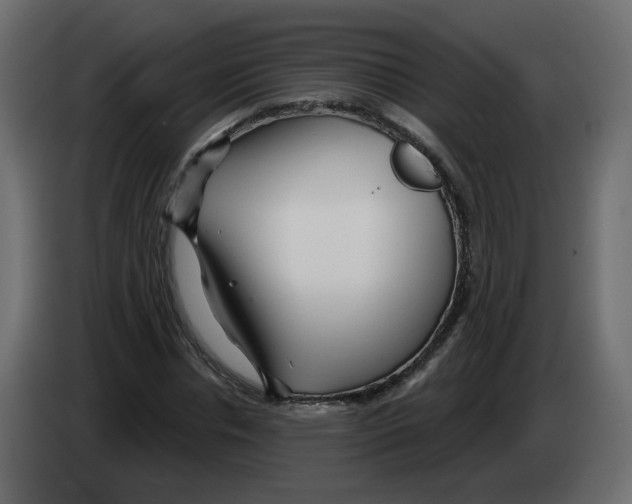 X0000082960826200703020210