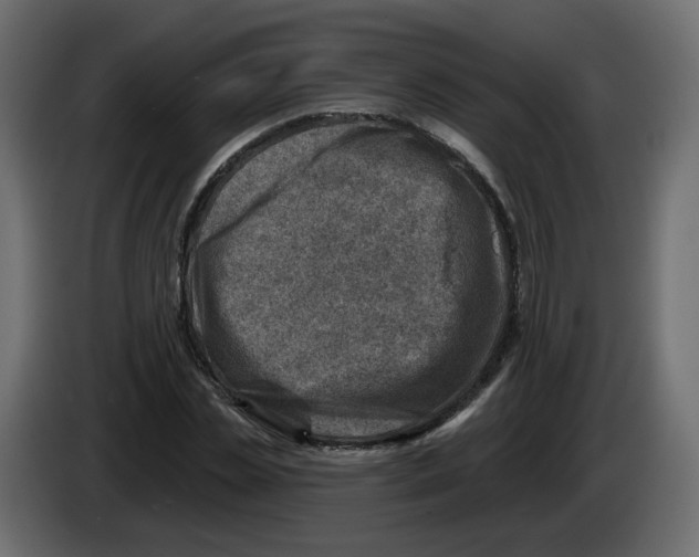 X0000082960829200703020210