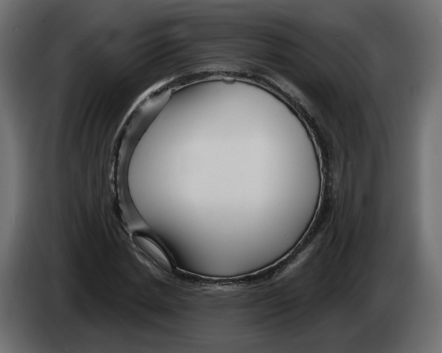 X0000082960830200703020210