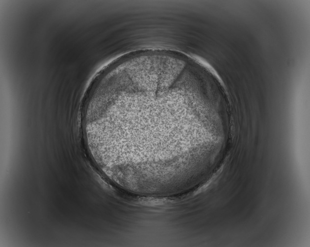 X0000082960831200703020210