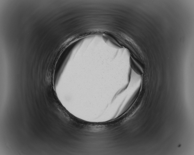 X0000082960833200703020210