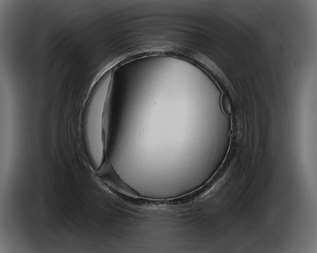 X0000082960834200703020210