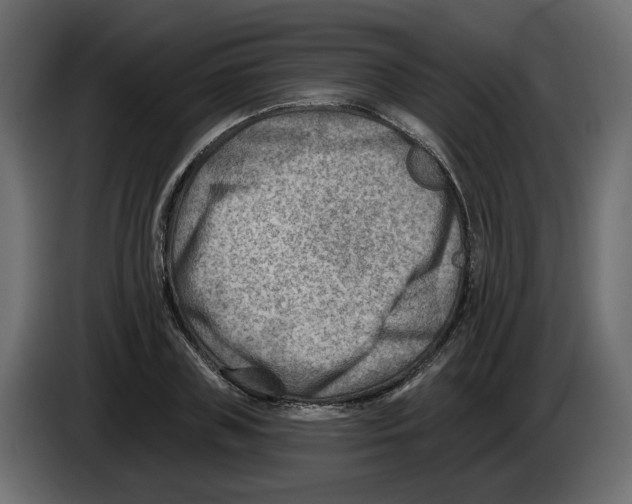 X0000082960835200703020210