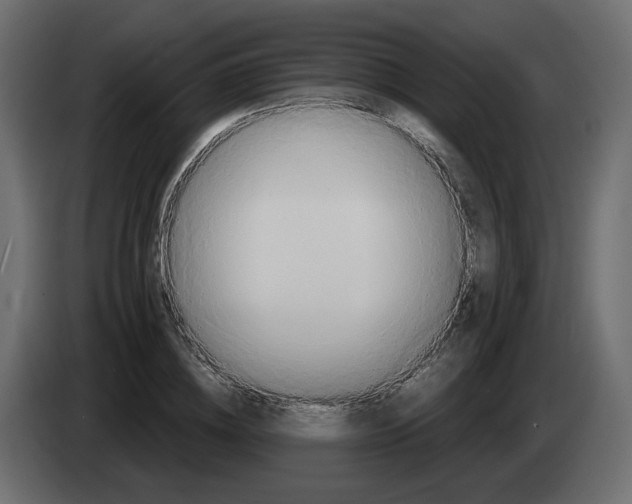 X0000082960836200703020210