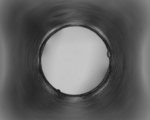 X0000082960837200703020210