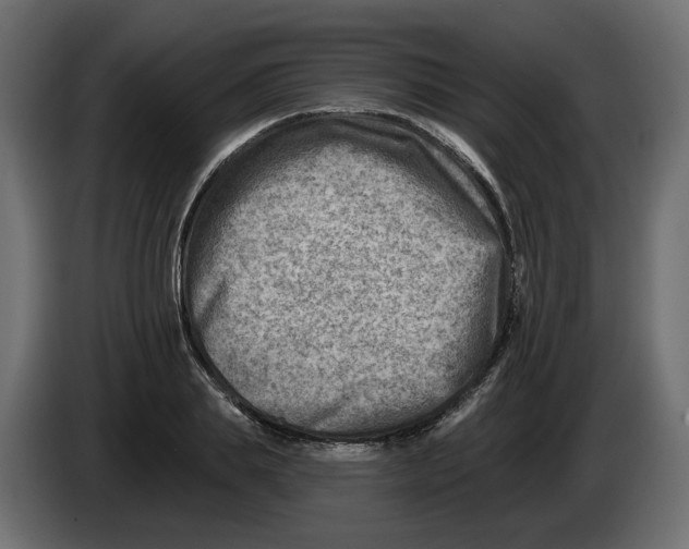 X0000082960839200703020210