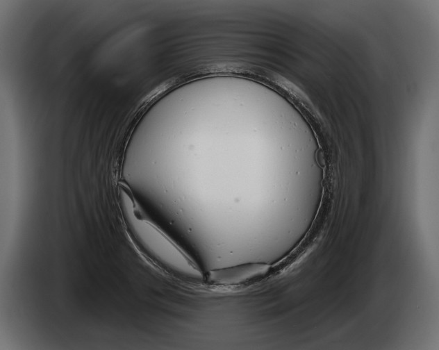 X0000082960841200703020210