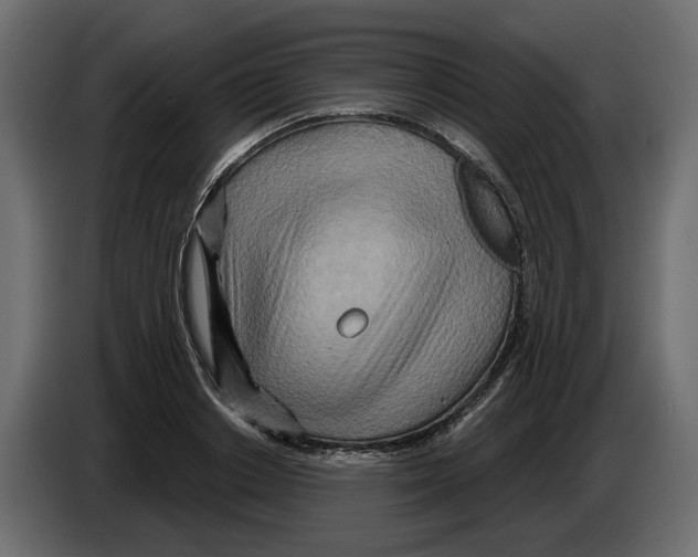 X0000082960842200703020210