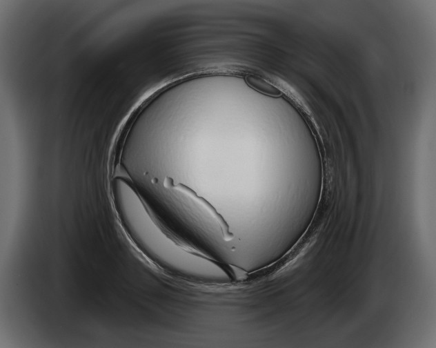 X0000082960843200703020210