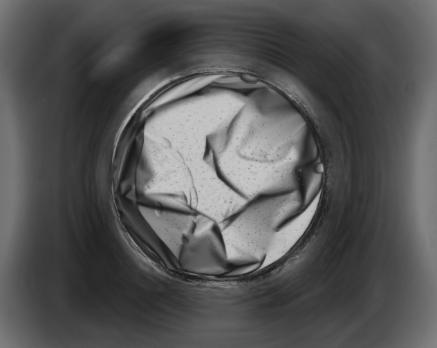 X0000082960844200703020210