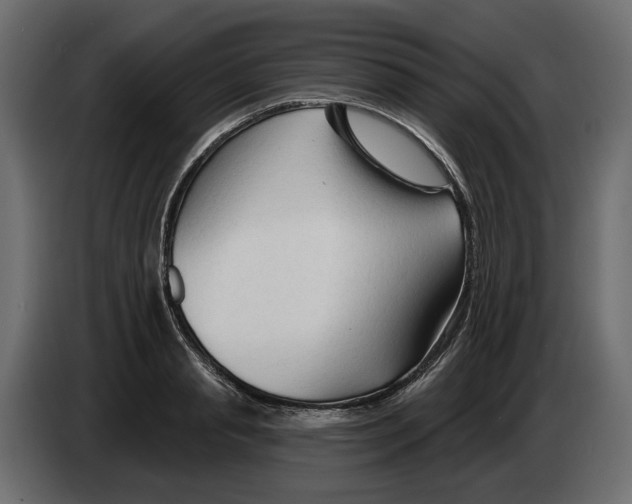 X0000082960845200703020211