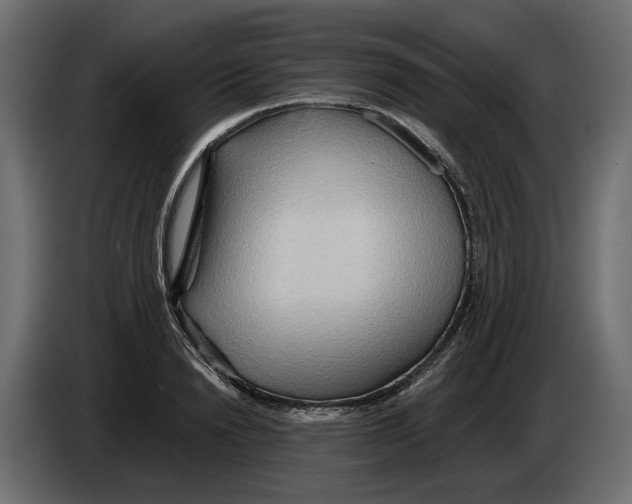 X0000082960846200703020211