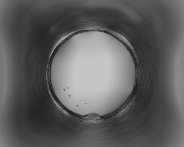 X0000082960847200703020211