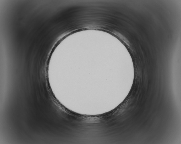 X0000082960848200703020211