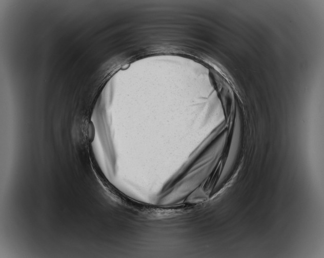 X0000082960849200703020211