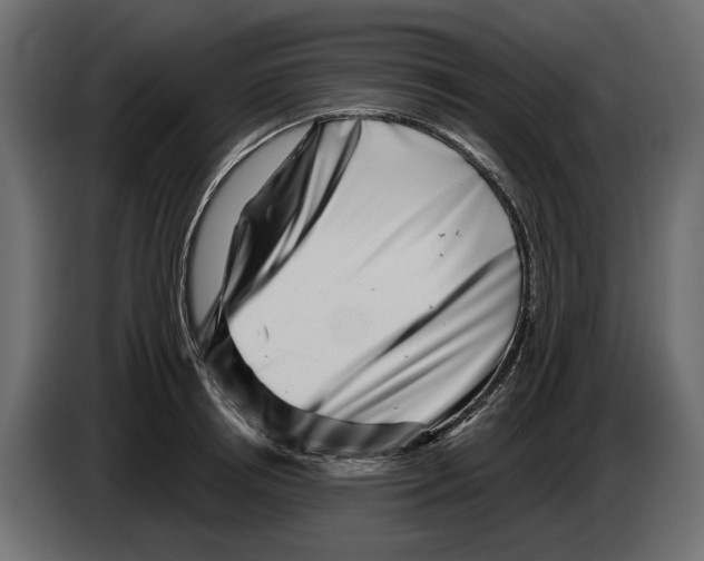 X0000082960850200703020211