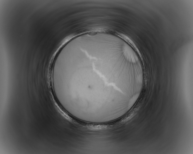 X0000082960851200703020211