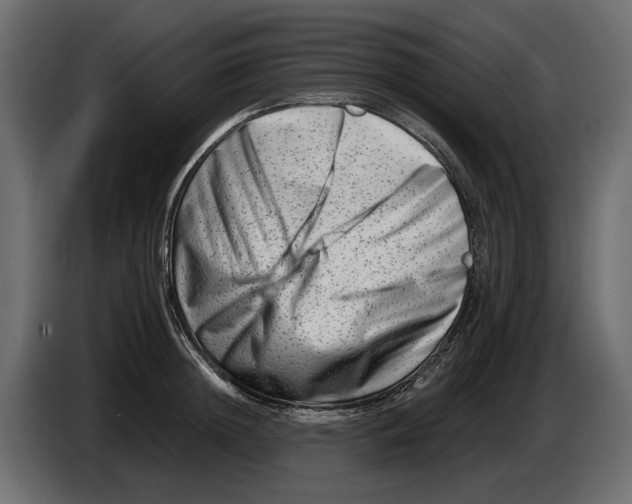 X0000082960852200703020211