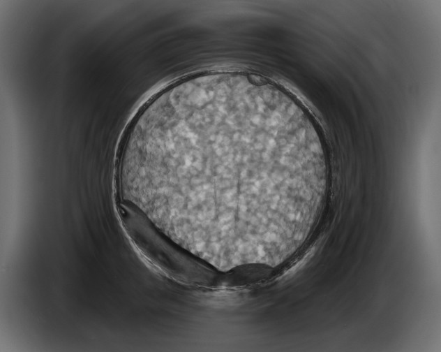 X0000082960853200703020211