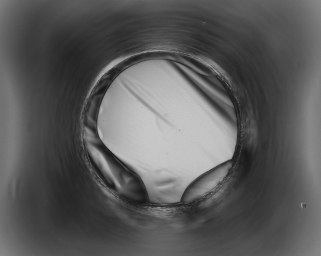 X0000082960854200703020211