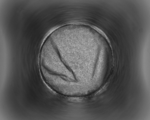 X0000082960855200703020211