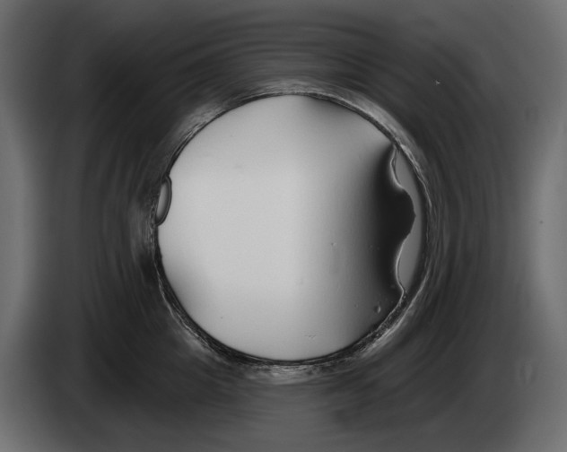 X0000082960857200703020211