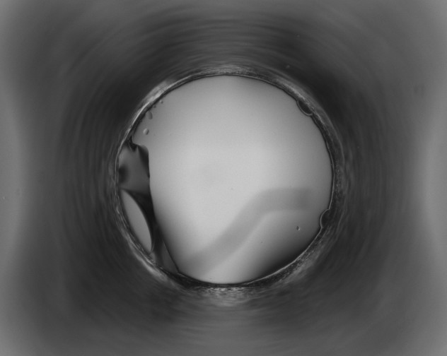 X0000082960858200703020211