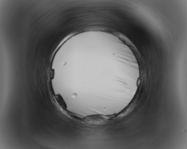 X0000082960860200703020211