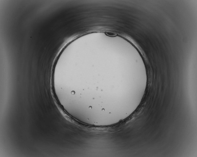 X0000082960861200703020211