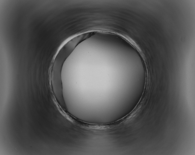 X0000082960862200703020211