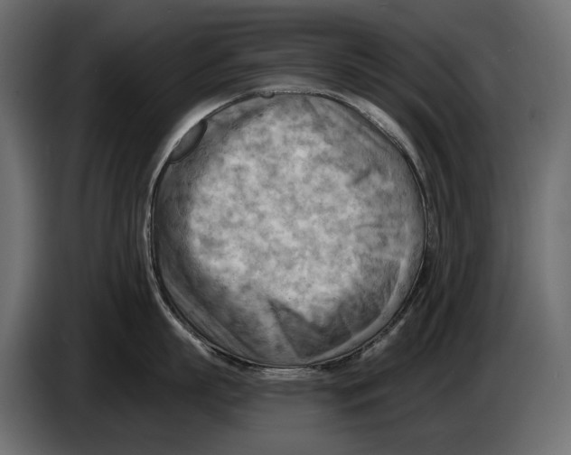 X0000082960863200703020211